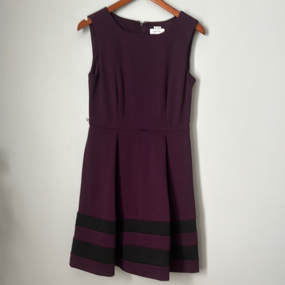 Plum Calvin Klein Dress With Black Stripes on Bottom size 6